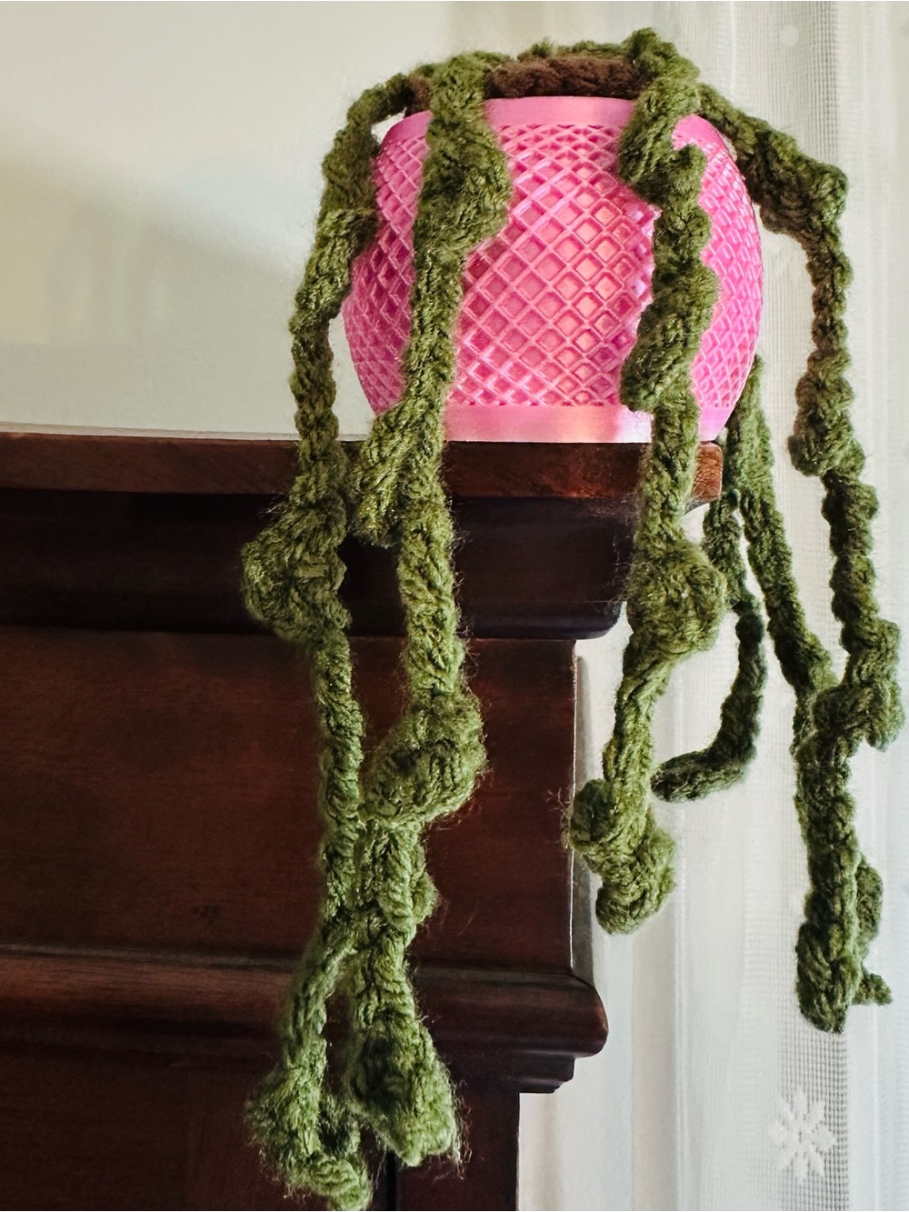 Pink Textured 3d Printed Planter with Green Crochet Succulent Plant